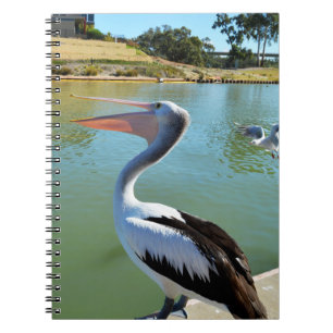 Åh Im A Lycklig Pelican Tra Lah, bärbar dator Anteckningsbok