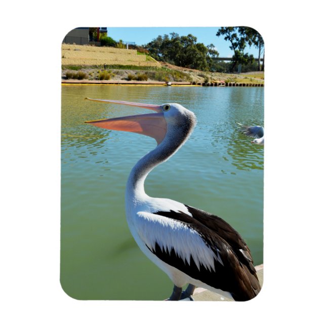 Åh Im A Lycklig Pelican Tra Lah, Magnet (Vertikal)