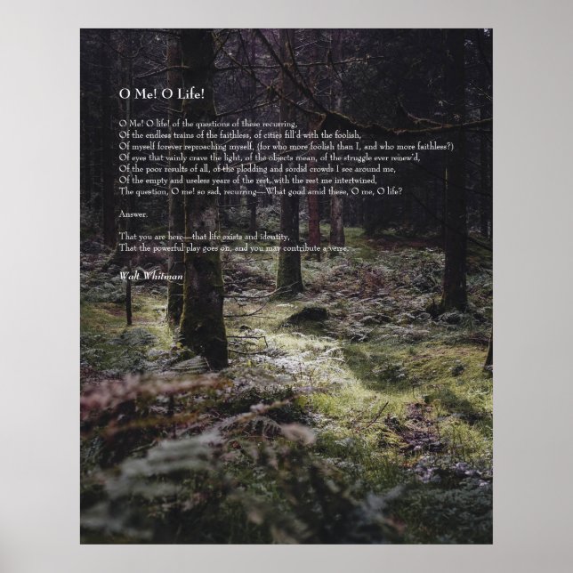 Åh, jag! Livet! Walt Whitman Dikt Wooded Väg 3 Poster (Framsidan)