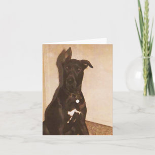 AH kort för great danehund Notecards eller