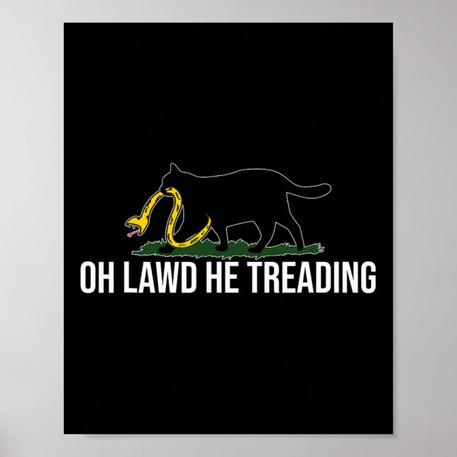 Åh, Lawd, han Går barnlös Cat Dam Democrat Poster (Framsidan)