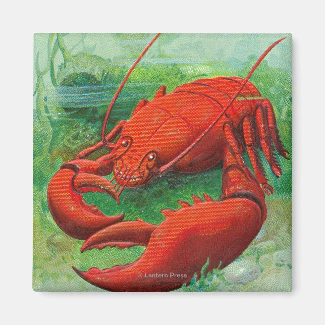 Åh, Lobster Scene Magnet (Framsidan)