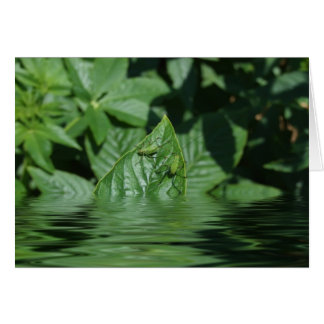 Åh, nej! hälsningskort