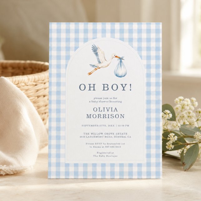Åh Pojke Stork Blå Gingham Barnkalas Inbjudningar (Skapare uppladdad)