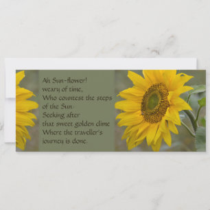Ah Sol-blomma CC0274 Poetry Inbjudningar