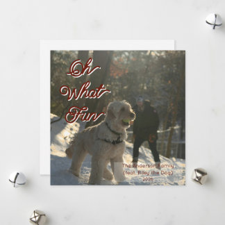 Åh Vilken Rolig Hund Fullständigt Foto Julkort