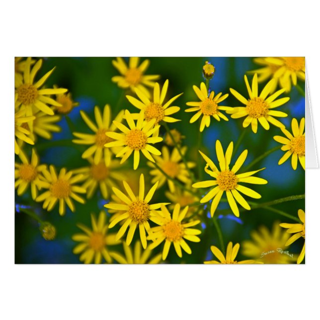 Ahhh vår hälsningskort (Framsidan Horizontal)