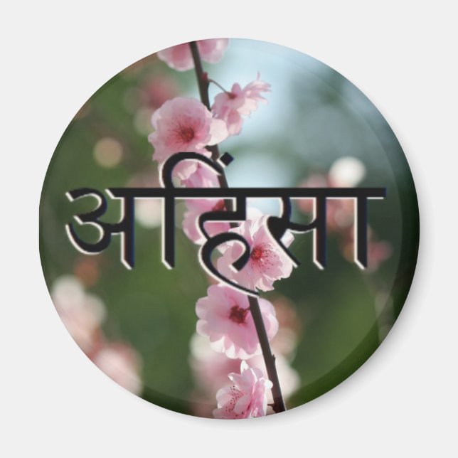 Ahimsa Cherry Blommar Magnet (Framsidan)
