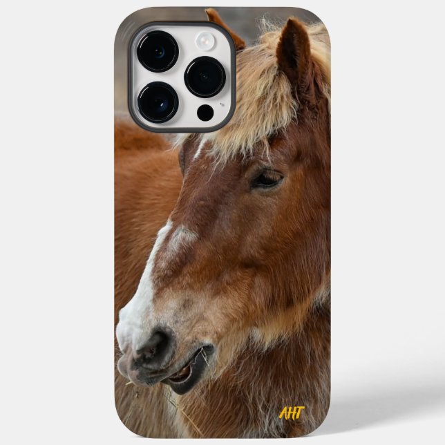 AHT Horse Rädding (Baksida)