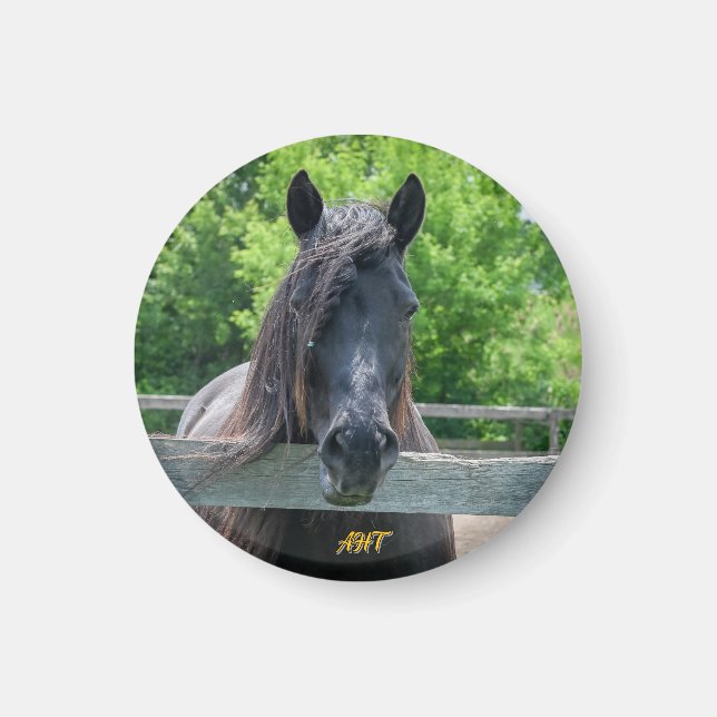 AHT Horse Rädding Magnet (Framsidan)