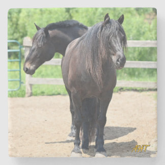 AHT Sherrif & Goliath Stenunderlägg