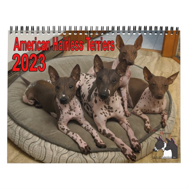 AHTCA 2023 American Hairless Terrier Calendar Kalender (Omslag)
