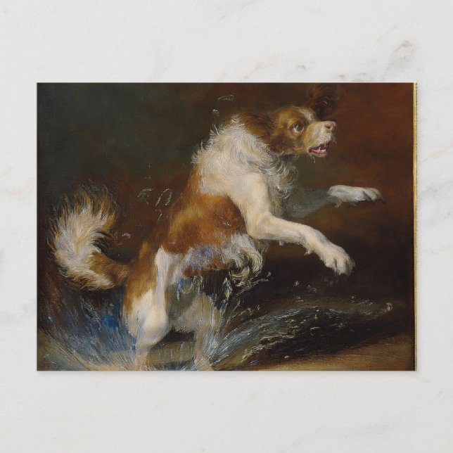 AI blöt Hund Vykort (Framsida)