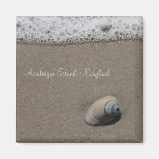 AI Clam Snäcka Magnet