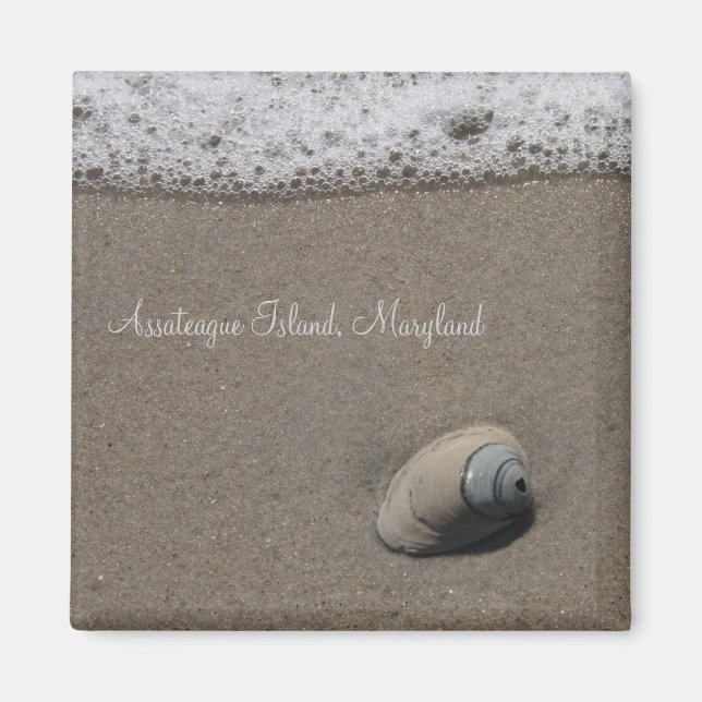 AI Clam Snäcka Magnet (Framsidan)
