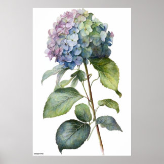 AI genererade konsblått Hydrangea-vintagens väggko Poster