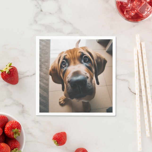 Ai Hund Pappersservett (Insitu)