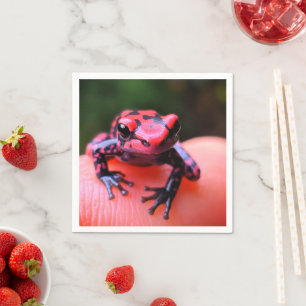 Ai Red Frog Pappersservett