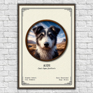 Aidi Zoologi Serie Poster