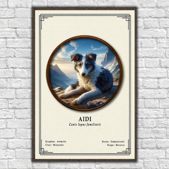 Aidi Zoologi Serie Poster (Skapare uppladdad)
