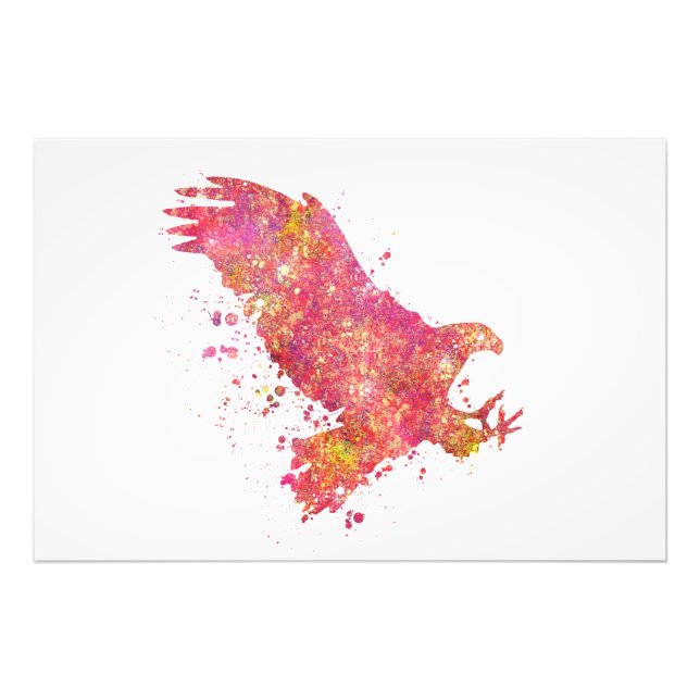 Aigle Oiseaux Forêt Sauvage Nature Monde Terre Vol Fototryck (Framsidan)