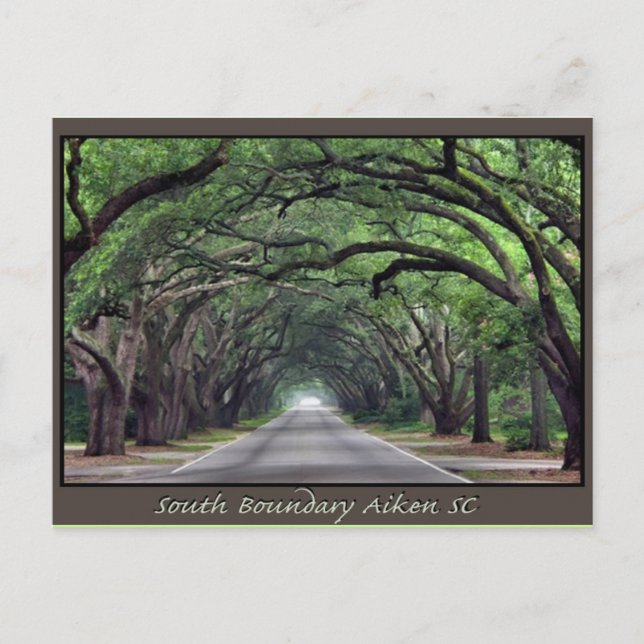 Aiken SC-affisch South Boundary Vykort (Framsida)