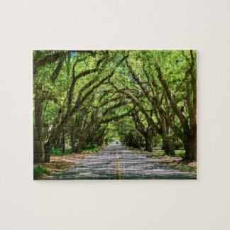 Aikens syd-gränspussel pussel