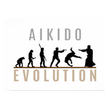Aikido Evolution