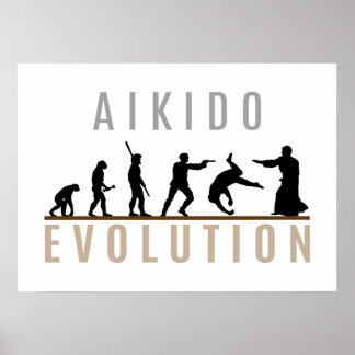 Aikido Evolution Poster