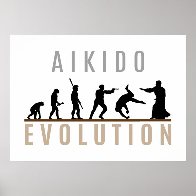 Aikido Evolution Poster (Framsidan)