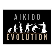 Aikido Evolution