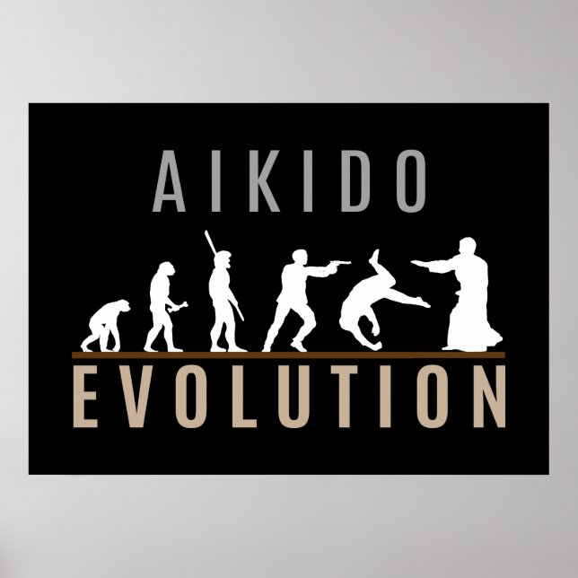 Aikido Evolution Poster (Framsidan)