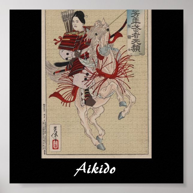 Aikido Japansk martial konst Poster (Framsidan)