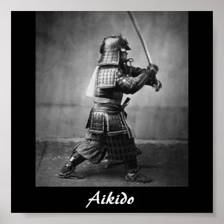 Aikido Japansk martial konst Poster