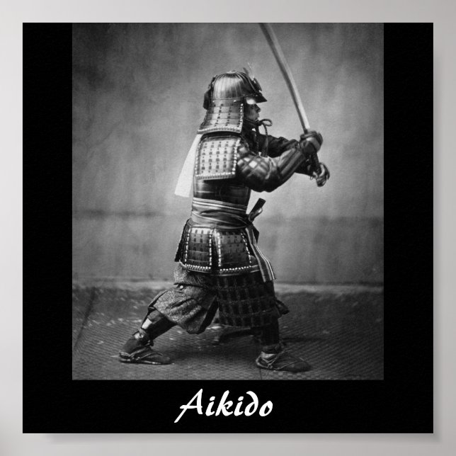 Aikido Japansk martial konst Poster (Framsidan)
