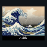 Aikido Japansk martial konst Poster<br><div class="desc">Aikido Japansk martial konst</div>