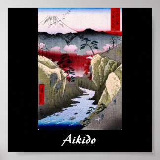 Aikido Japansk martial konst Poster