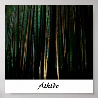 Aikido Japansk martial konst Poster