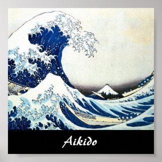 Aikido Japansk martial konst Poster
