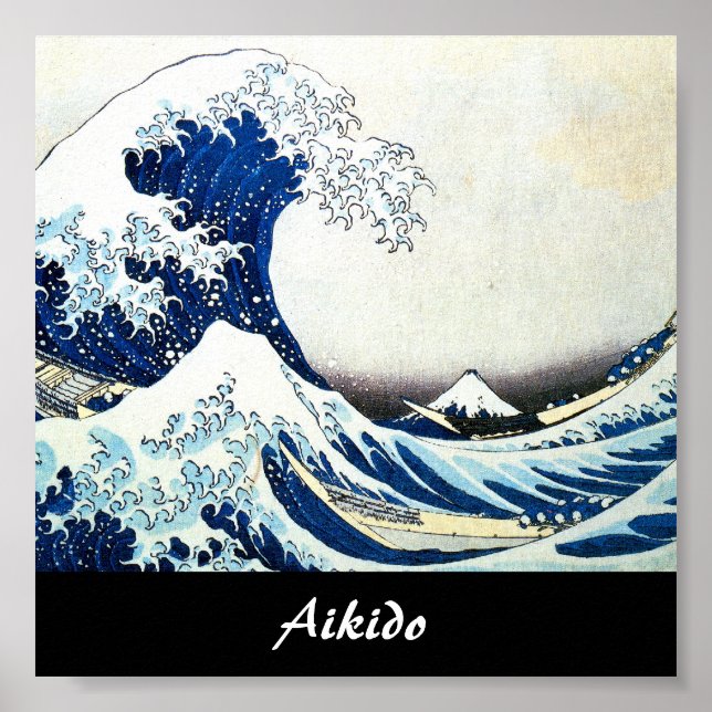 Aikido Japansk martial konst Poster (Framsidan)