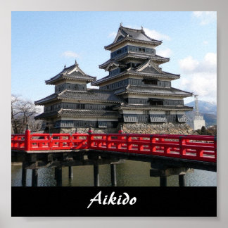 Aikido Japansk martial konst Poster