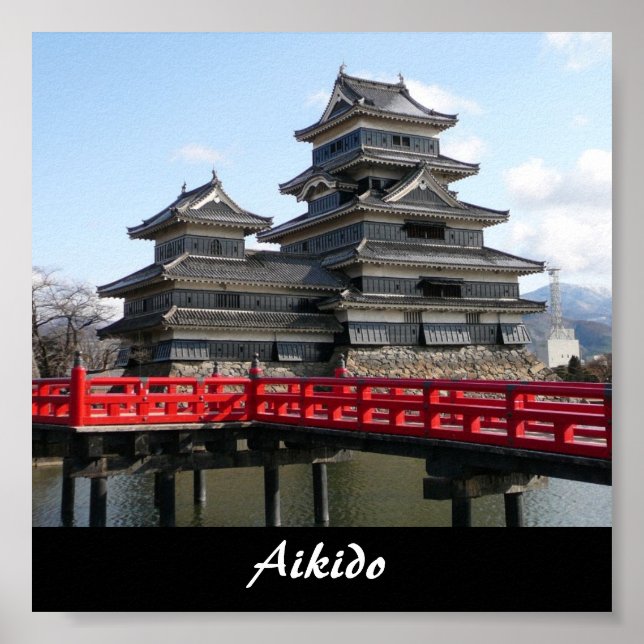 Aikido Japansk martial konst Poster (Framsidan)