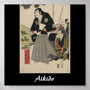 Aikido Japansk martial konst Poster