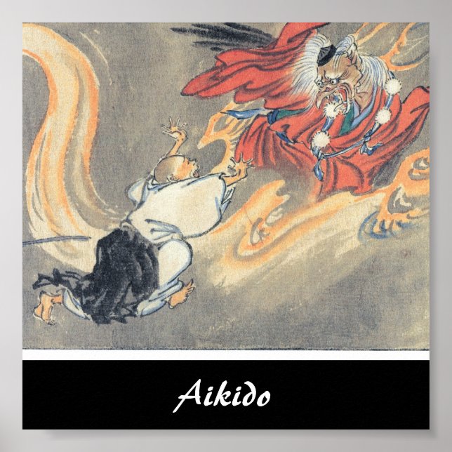 Aikido Japansk martial konst Poster (Framsidan)