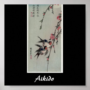 Aikido Japansk martial konst Poster