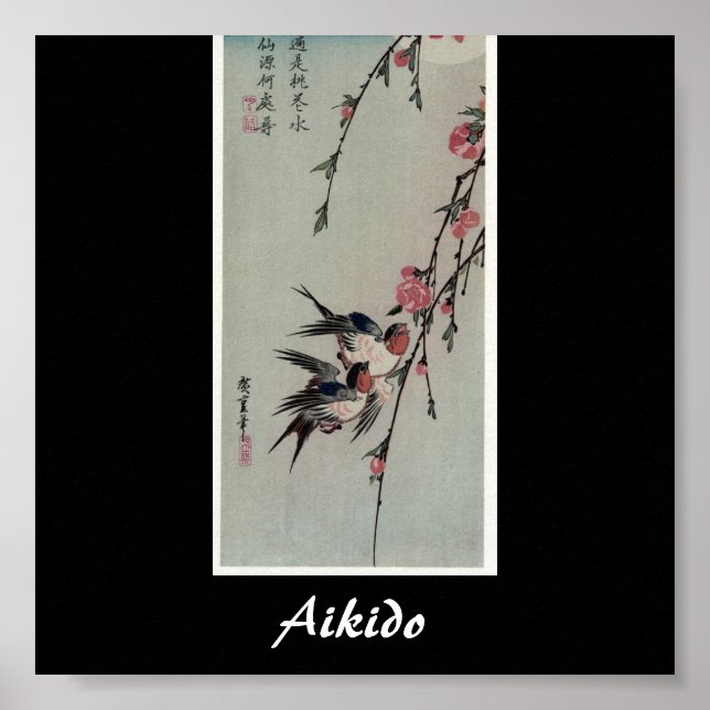 Aikido Japansk martial konst Poster (Framsidan)