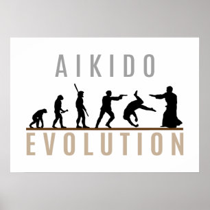 Aikidoevolution Poster