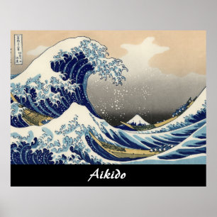 Aikidojapankampsport Poster