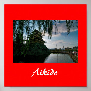 Aikidojapankampsport Poster