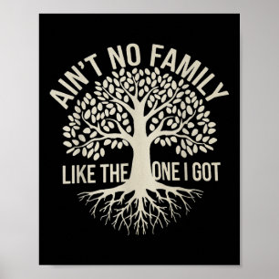 Aint no Family like One I Har Funny Family Reu Poster